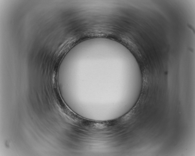 X0000102840166200808181033