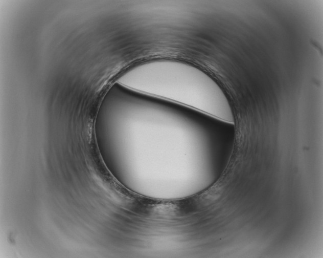 X0000102840168200808181033