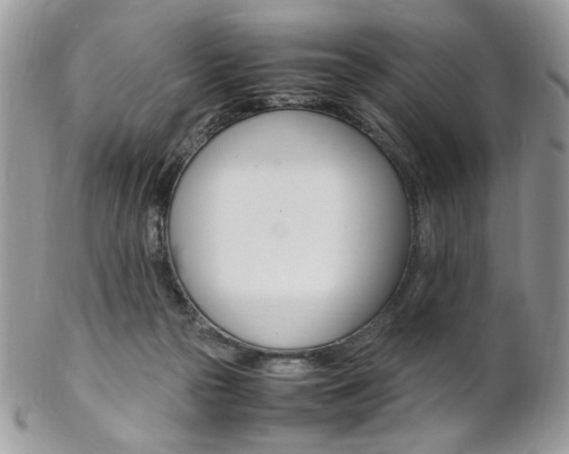 X0000102840169200808181033
