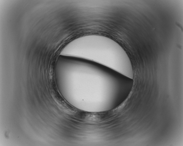 X0000102840174200808181033
