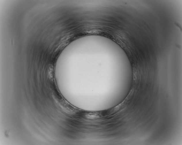 X0000102840175200808181033