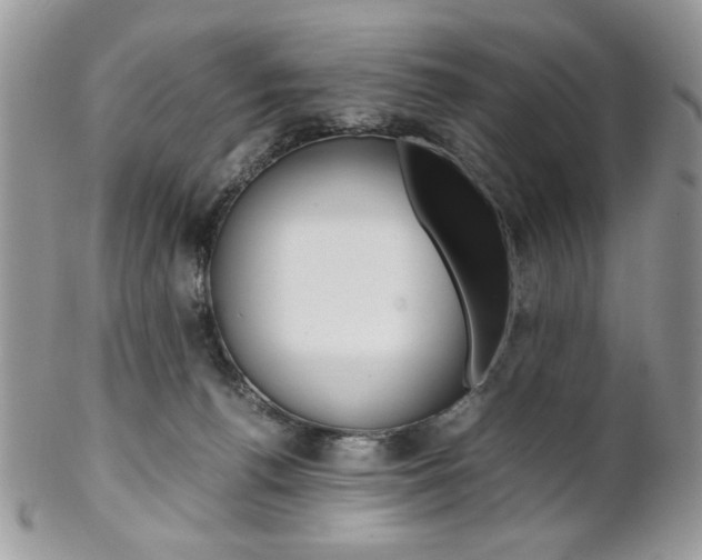 X0000102840176200808181033