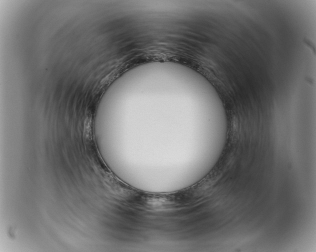 X0000102840177200808181033