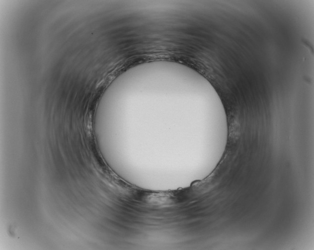 X0000102840179200808181033