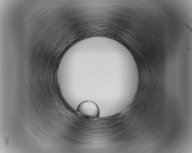 X0000102840180200808181033