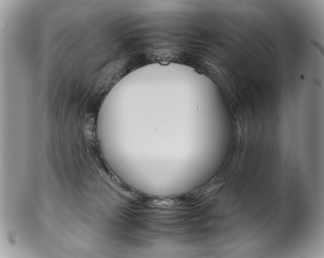 X0000102840181200808181033