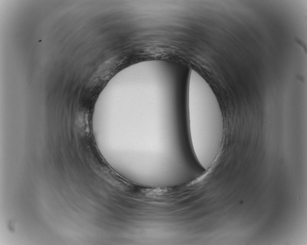 X0000102840182200808181033