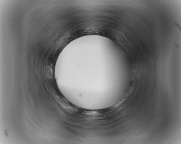 X0000102840183200808181033