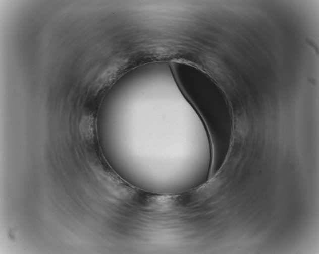 X0000102840184200808181033