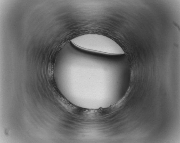 X0000102840186200808181033