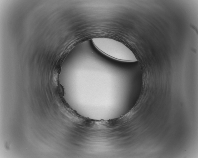 X0000102840188200808181033