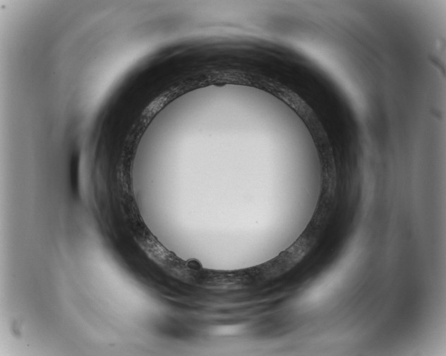 X0000102840189200808181033