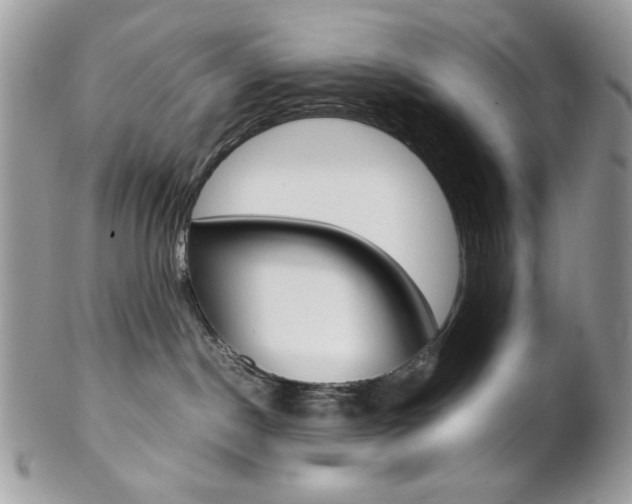 X0000102840190200808181033