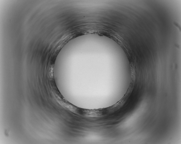 X0000102840191200808181033