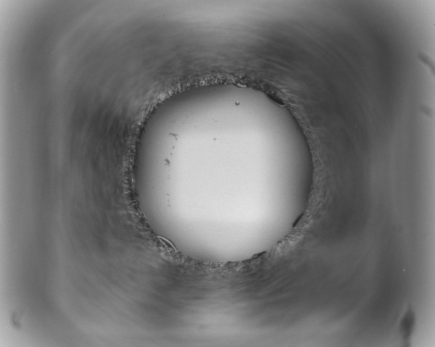 X0000102840192200808181033
