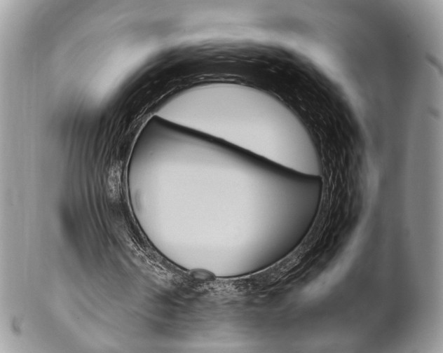 X0000102840194200808181032