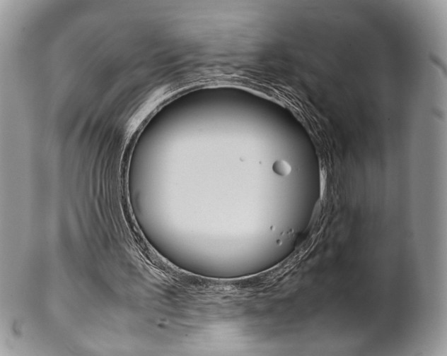 X0000102840195200808181032