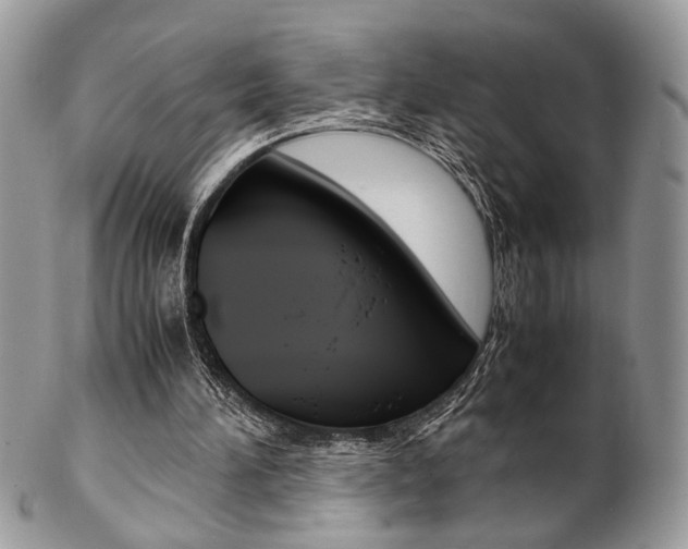 X0000102840196200808181032