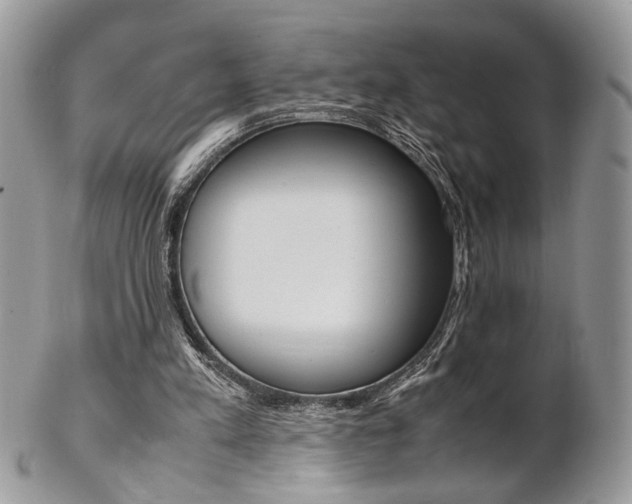X0000102840197200808181032