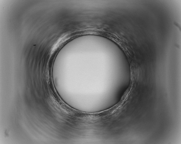 X0000102840198200808181032
