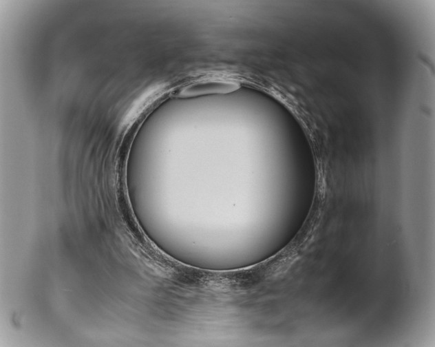 X0000102840199200808181032