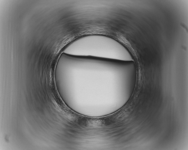 X0000102840202200808181032
