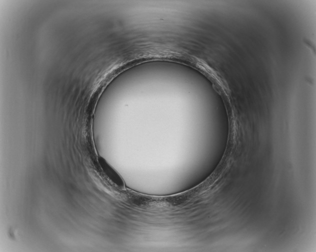 X0000102840203200808181032