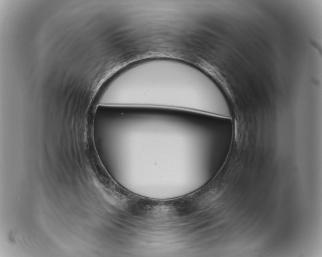 X0000102840204200808181032