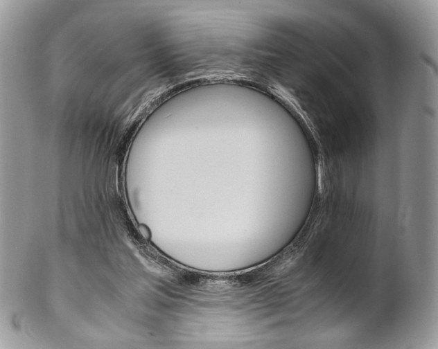 X0000102840205200808181032