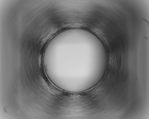 X0000102840206200808181032