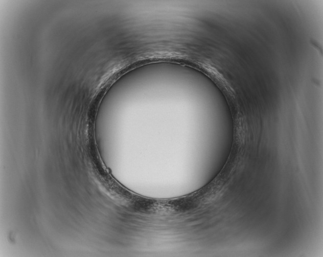 X0000102840207200808181032