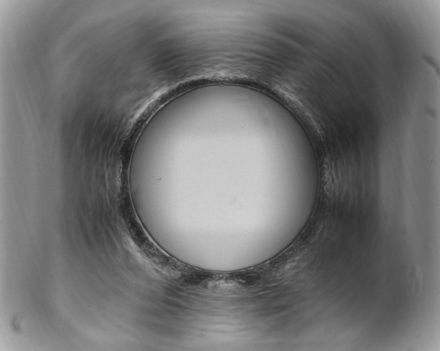 X0000102840208200808181032