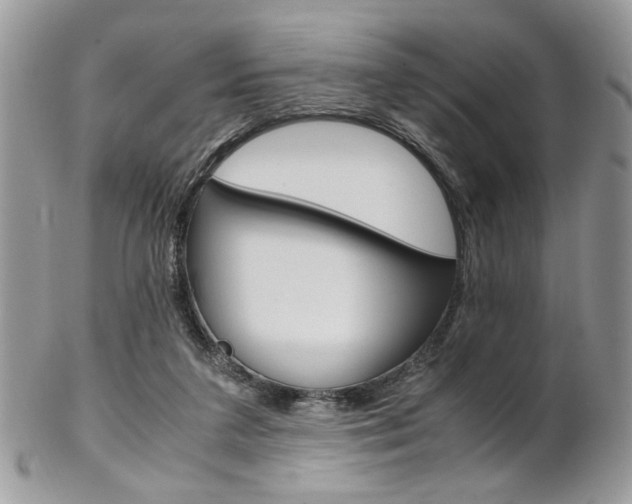X0000102840211200808181032