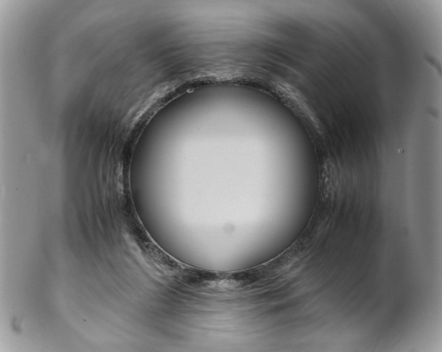 X0000102840212200808181032