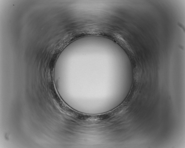 X0000102840213200808181032