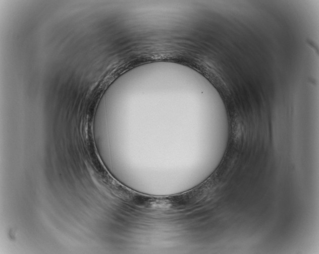 X0000102840214200808181032