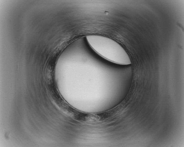 X0000102840215200808181032