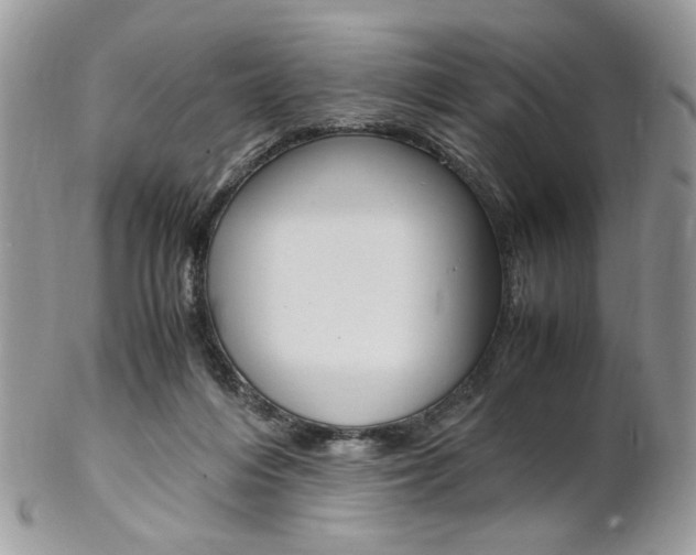 X0000102840216200808181032