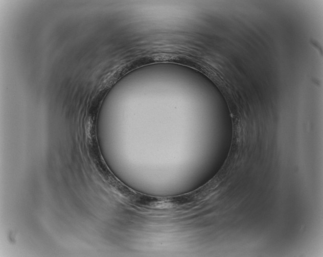 X0000102840219200808181032