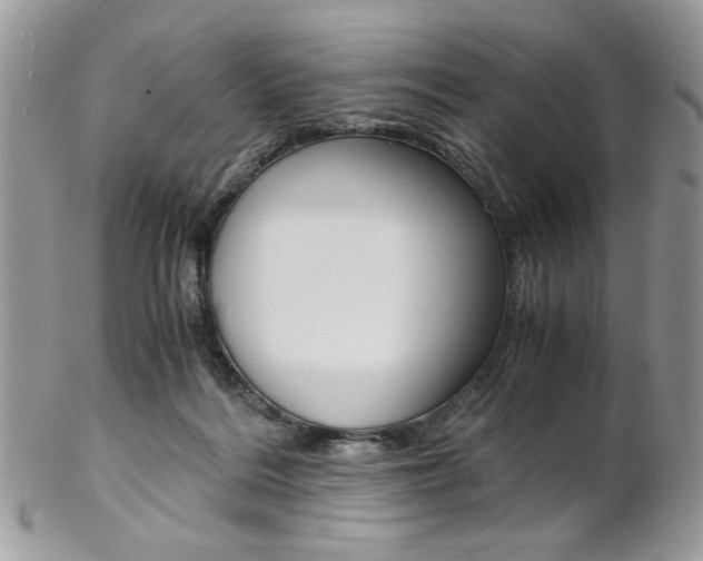 X0000102840220200808181032