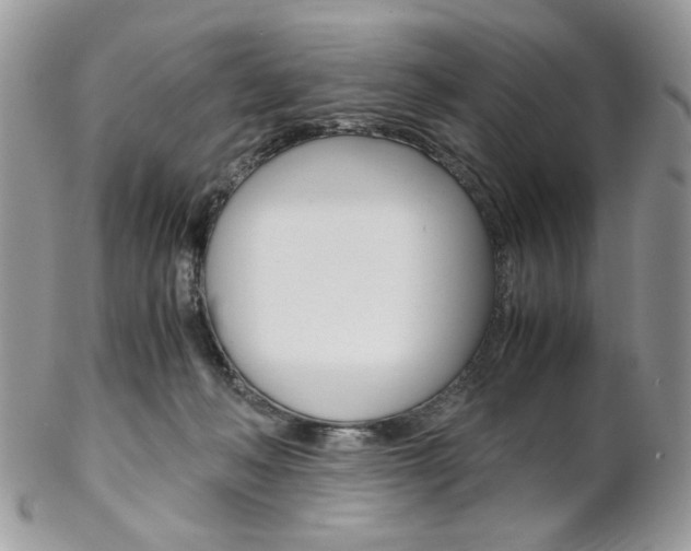 X0000102840222200808181032