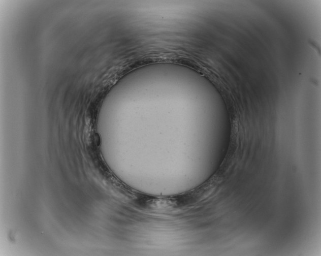 X0000102840223200808181032