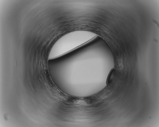 X0000102840224200808181032