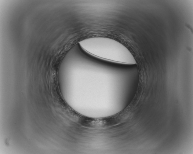 X0000102840225200808181032