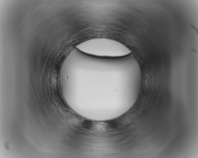 X0000102840226200808181032