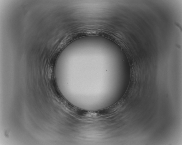 X0000102840227200808181032