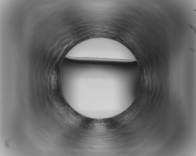 X0000102840228200808181032