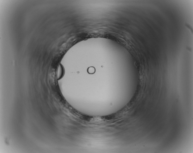 X0000102840231200808181032