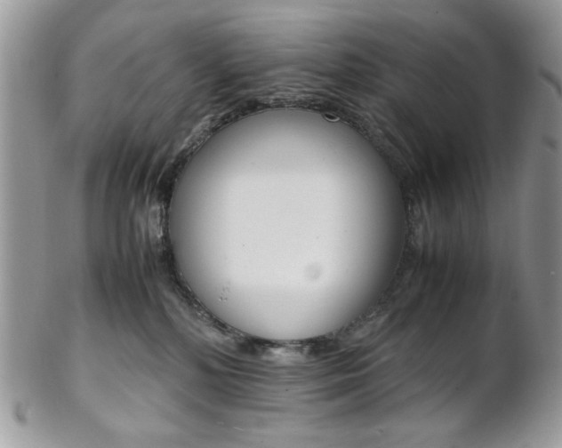 X0000102840232200808181032