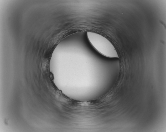 X0000102840233200808181032